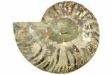 Cut & Polished Ammonite Fossil (Half) - Madagascar #206775-1